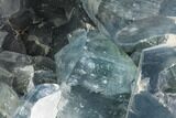 Celestine (Celestite) Geode ( Lbs) - Large Crystals! #106674-2